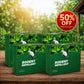 🐭 Natural Essential Oils Pest Repellent Tablets🌿